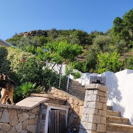 Casa L'Ulivariu Affittacamere San Teodoro  Εξωτερικό φωτογραφία