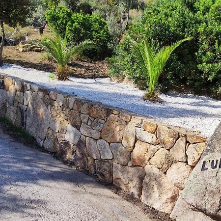 Casa L'Ulivariu Affittacamere San Teodoro  Εξωτερικό φωτογραφία