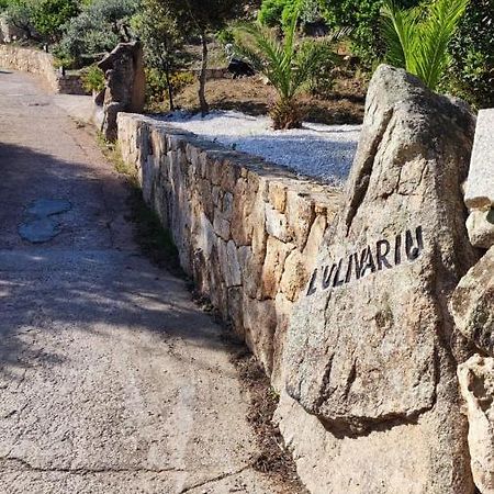 Casa L'Ulivariu Affittacamere San Teodoro  Εξωτερικό φωτογραφία