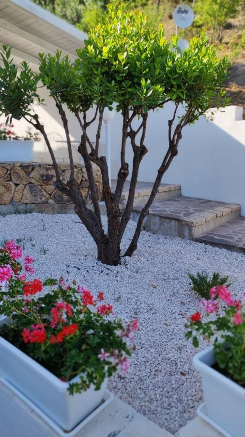Casa L'Ulivariu Affittacamere San Teodoro  Εξωτερικό φωτογραφία