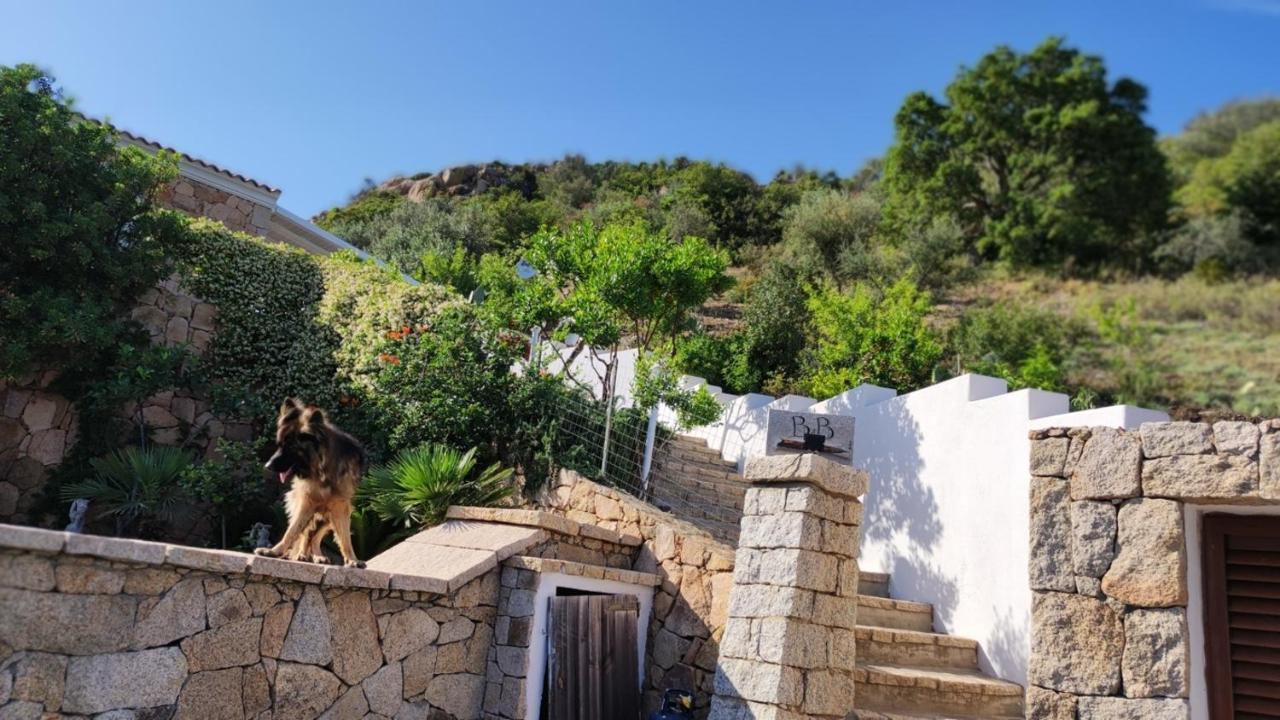 Casa L'Ulivariu Affittacamere San Teodoro  Εξωτερικό φωτογραφία