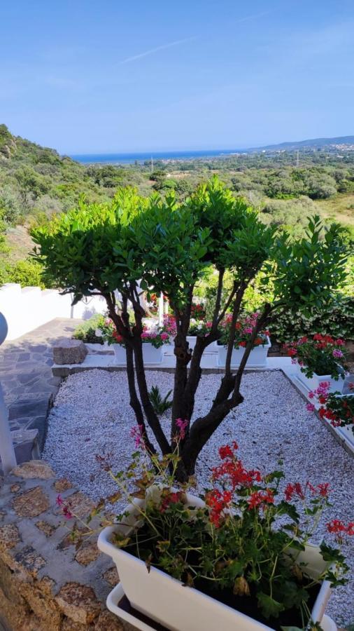 Casa L'Ulivariu Affittacamere San Teodoro  Εξωτερικό φωτογραφία