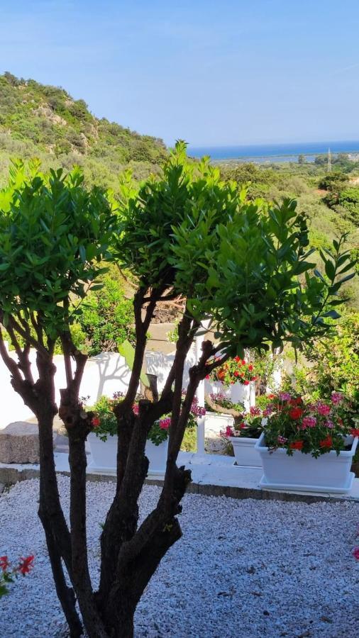 Casa L'Ulivariu Affittacamere San Teodoro  Εξωτερικό φωτογραφία