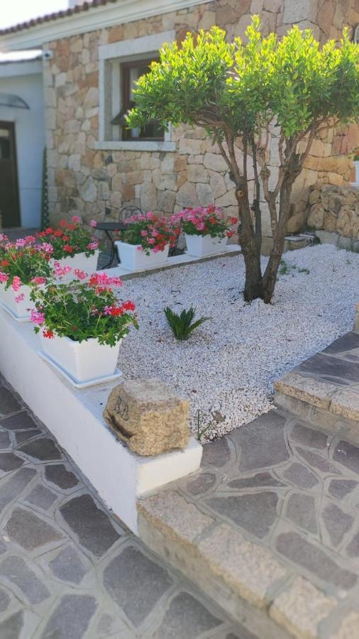 Casa L'Ulivariu Affittacamere San Teodoro  Εξωτερικό φωτογραφία