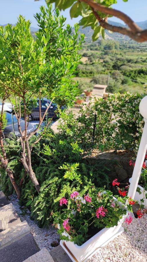 Casa L'Ulivariu Affittacamere San Teodoro  Εξωτερικό φωτογραφία