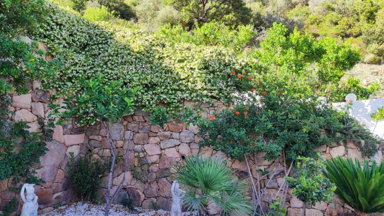 Casa L'Ulivariu Affittacamere San Teodoro  Εξωτερικό φωτογραφία