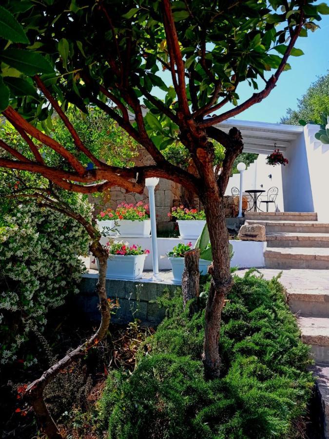Casa L'Ulivariu Affittacamere San Teodoro  Εξωτερικό φωτογραφία
