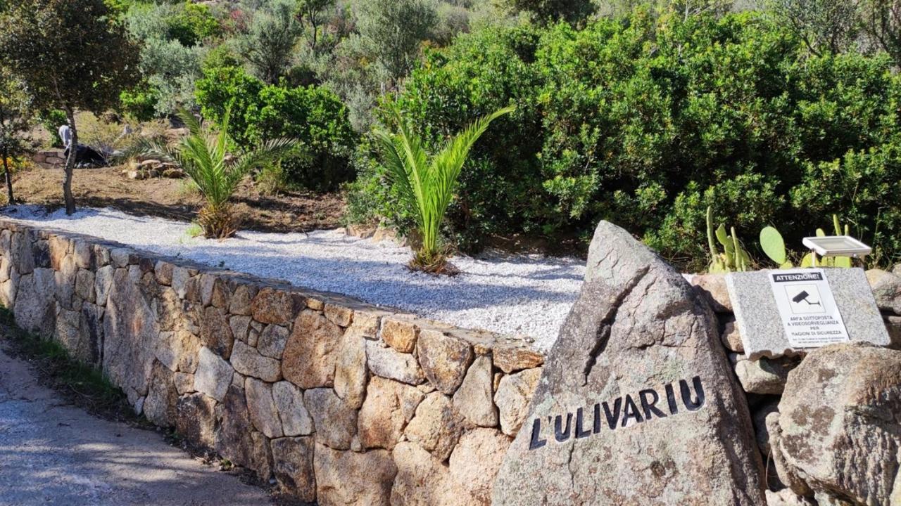 Casa L'Ulivariu Affittacamere San Teodoro  Εξωτερικό φωτογραφία