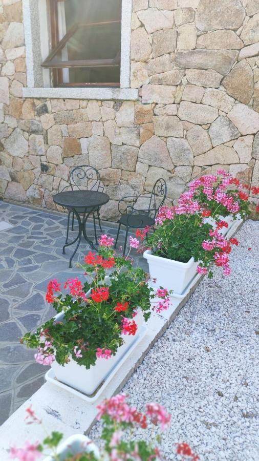 Casa L'Ulivariu Affittacamere San Teodoro  Εξωτερικό φωτογραφία