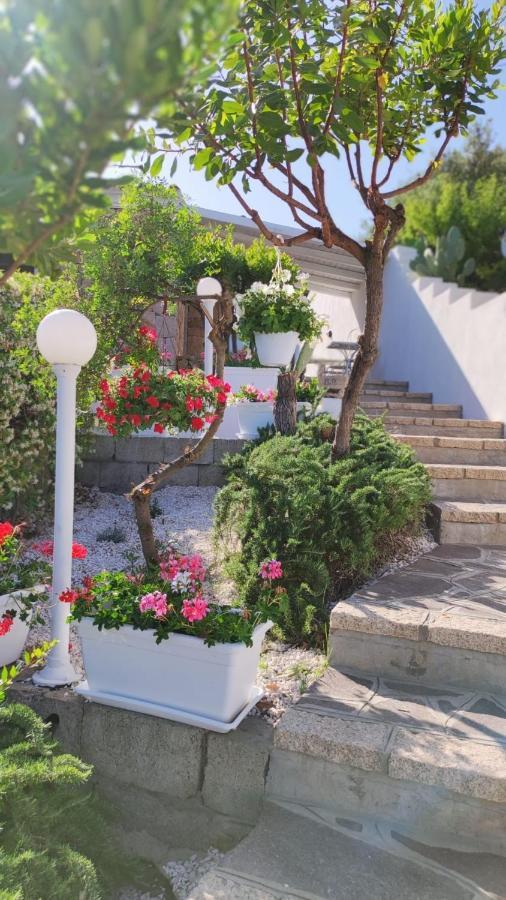 Casa L'Ulivariu Affittacamere San Teodoro  Εξωτερικό φωτογραφία